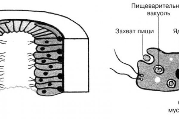 Кракен через впн