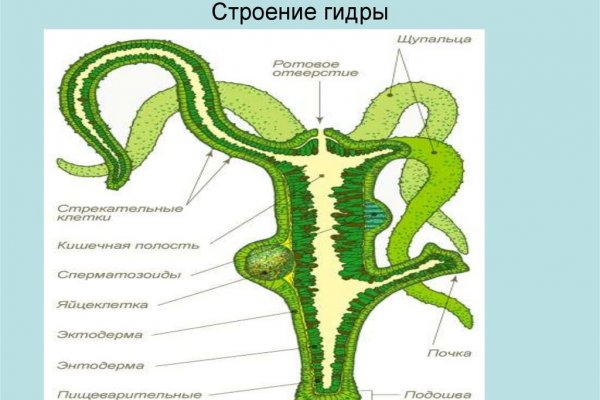 Кракен какой сайт