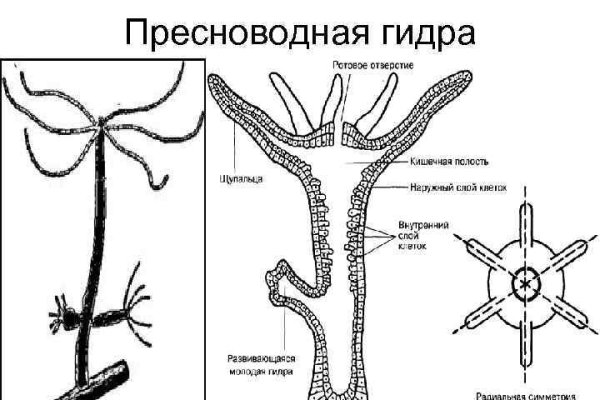 Кракен маркетплейс вход